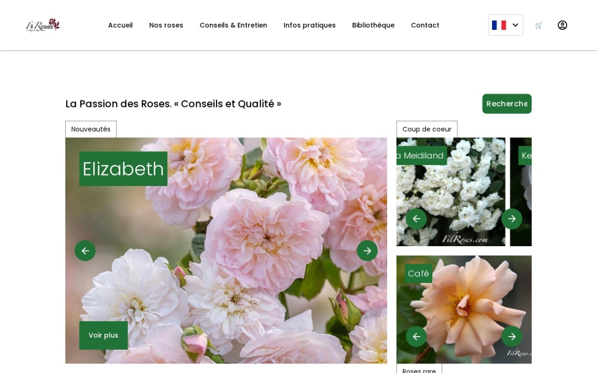 Aperçu du site FilRoses